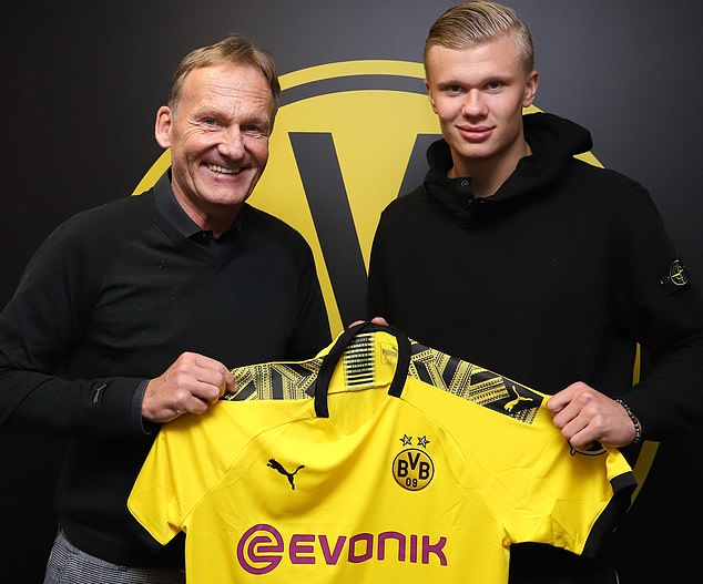 足球世界杯新增三座临时球场，应对球迷增长